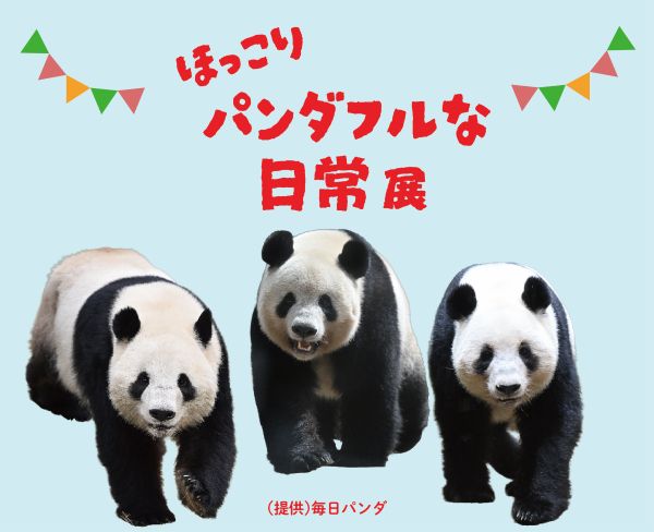 HAPPY PANDA FUL DAYS」上野パンダの誕生日を盛り上げます